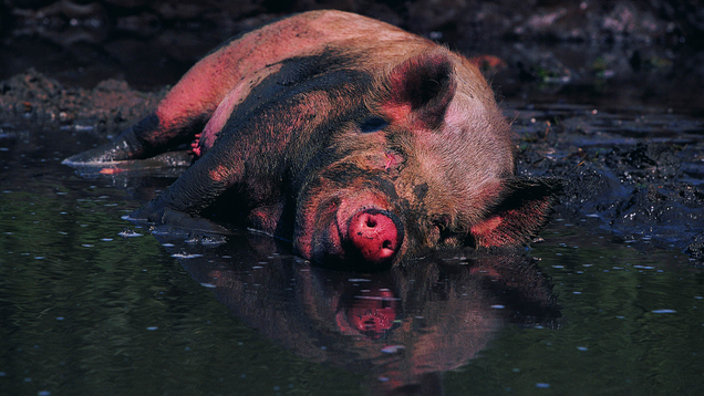 Illustration for article titled Spellbinding: We Asked Nature Photographers To Describe Their Most Memorable Shot